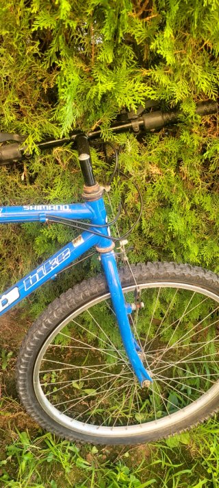 2 Bicicletas Montaña Azules