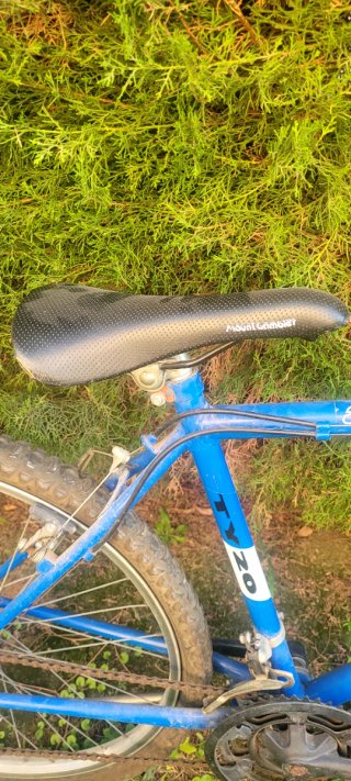 2 Bicicletas Montaña Azules