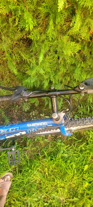 2 Bicicletas Montaña Azules