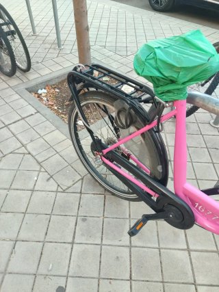 Bicicleta estilo holandesa
