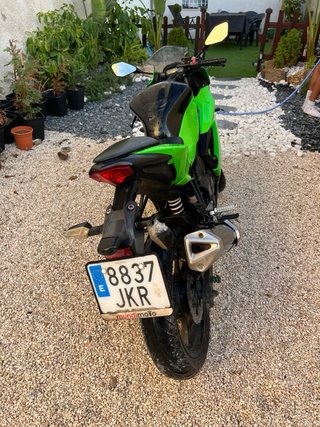 Kawasaki Ninja 250 SL 2015 Verde