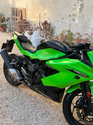 Kawasaki Ninja 250 SL 2015 Verde