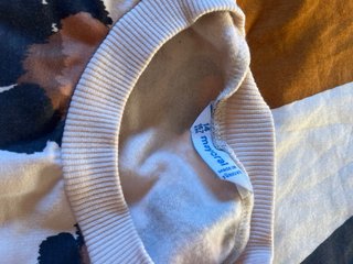 Conjunto shorts de pana y sudadera niña