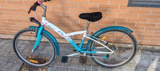 Bicicleta infantil 20 Btwin