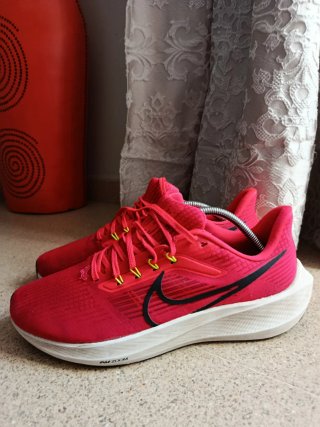 Nike Pegasus 39 Rosa/Rojo