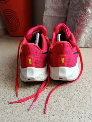 Nike Pegasus 39 Rosa/Rojo