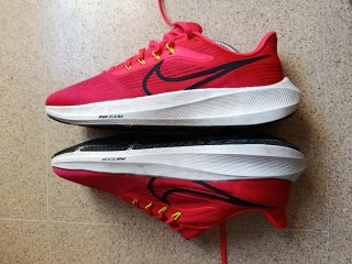 Nike Pegasus 39 Rosa/Rojo