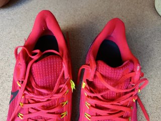 Nike Pegasus 39 Rosa/Rojo