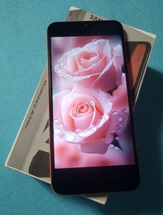 Samsung Galaxy A20e 32GB Naranja