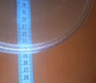 Plato para microondas, d vidrio, con base.