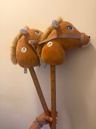 Dos caballos marrón con música