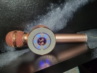Micrófono Karaoke WS-668 rosa