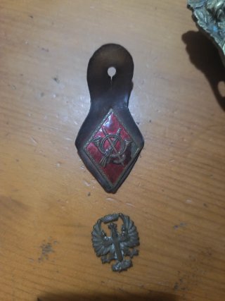Dos insignias militares