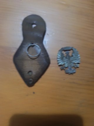 Dos insignias militares