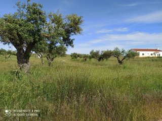 Terreno en La Godinha