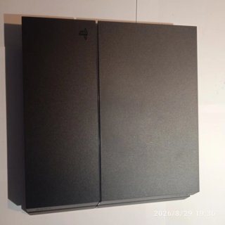 PS4 (PlayStation 4) + NBA 2K21