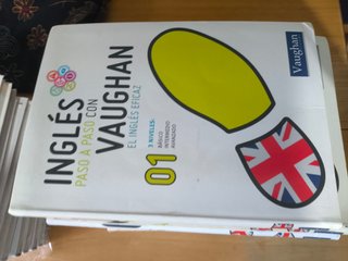 24 libros Vaughan inglés paso a paso