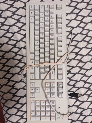 Teclado USB Fujitsu Siemens Beige