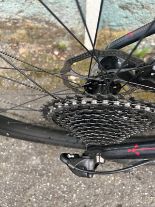 Bicicleta Wolfbike Ingravity Talla L