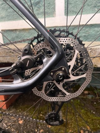 Bicicleta Wolfbike Ingravity Talla L