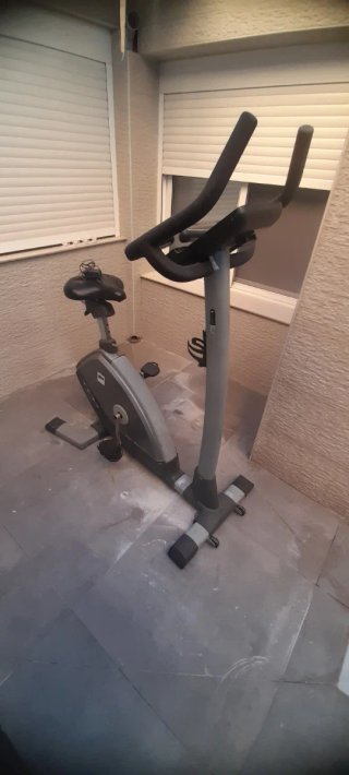 Bicicleta Estática Gris