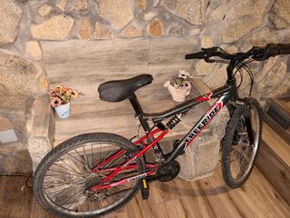 Bicicleta Montaña Freeride Niño