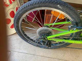 Bicicleta infantile 20 pollici