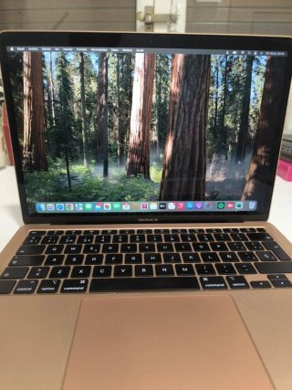 MacBook Air, Oro