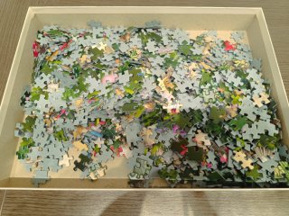 Puzzle Gatitos 1000 Piezas