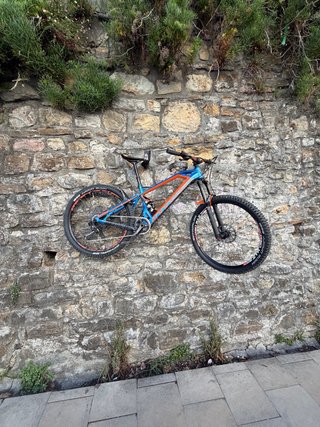 Mondraker Dune 2017