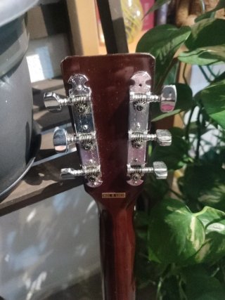 Guitarra Acústica Antares