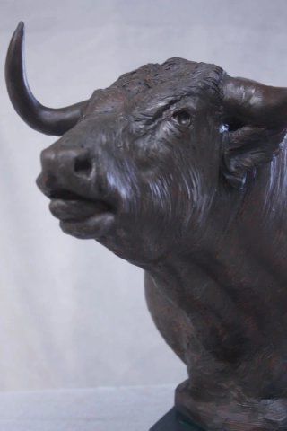 Cabeza de Toro