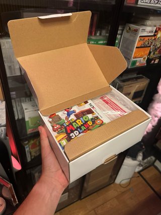 Nintendo 3DS + Mario 3D Land