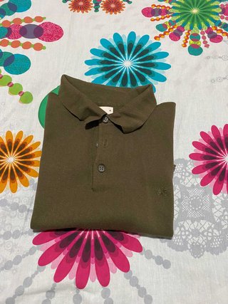 Polo Sacoor Brothers Verde M