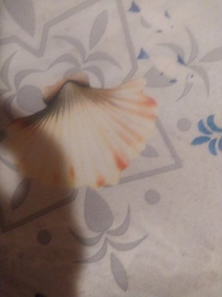 Tovaglia antimacchia mare