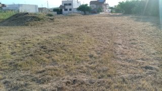 Servicio de desbroce de parcelas con tractor