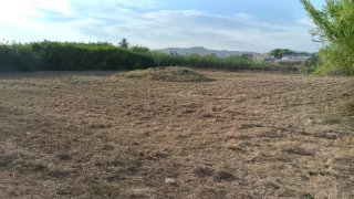 Servicio de desbroce de parcelas con tractor