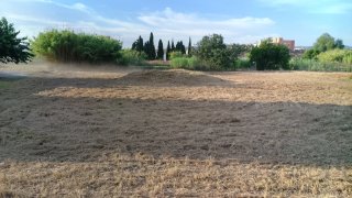 Servicio de desbroce de parcelas con tractor
