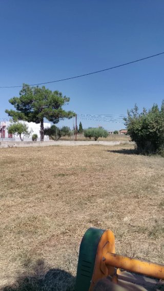 Servicio de desbroce de parcelas con tractor