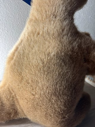 Peluche Canguro Marrone