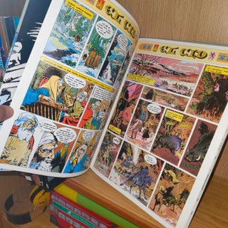 Lote 28 cómics Ikusager – Comics Históricos