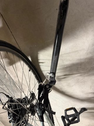 Remolque doble para bicicleta