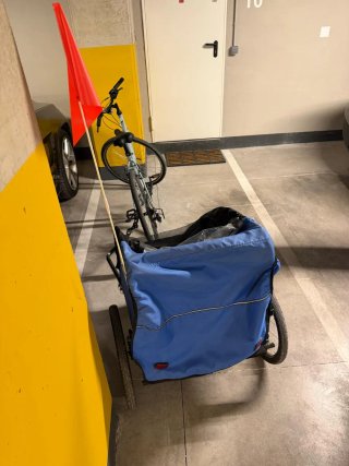 Remolque doble para bicicleta