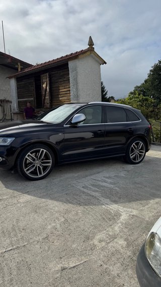 Audi SQ5 2013