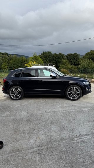 Audi SQ5 2013