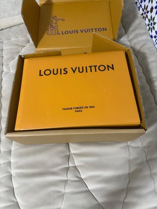Bolso Louis Vuitton Marrón