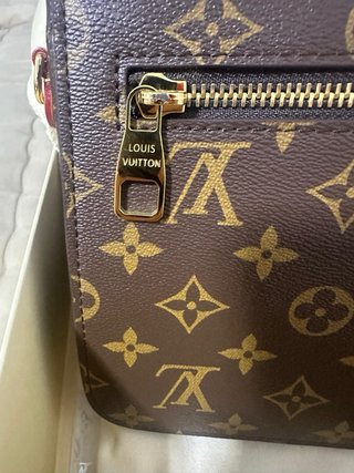 Bolso Louis Vuitton Marrón