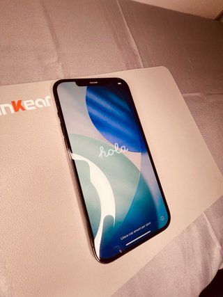 iPhone 12 Pro Max Gris Plata