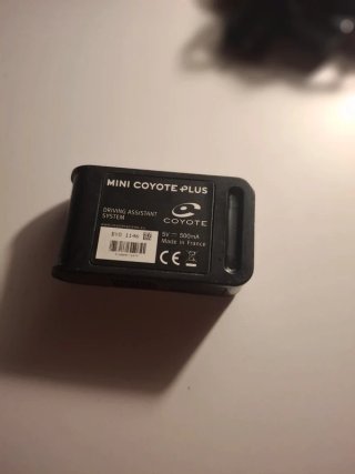 Coyote mini nero