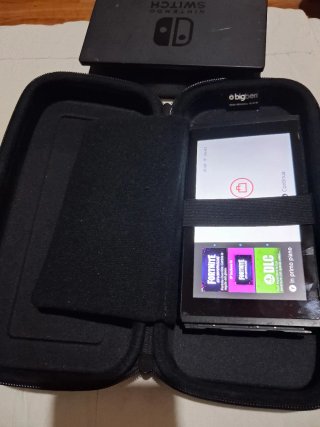 Nintendo Switch (leggere descrizione)